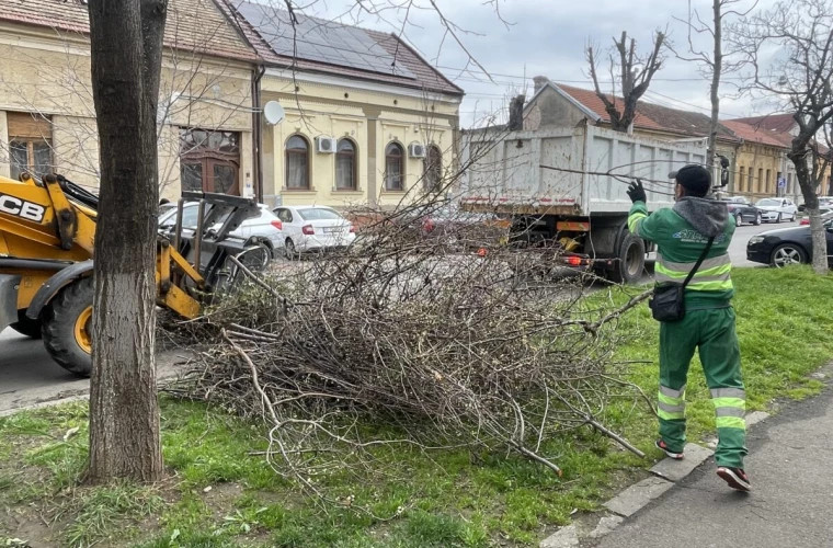 Chișinăul în lupta împotriva deșeurilor: Primăria lansează campania anuală de curățenie